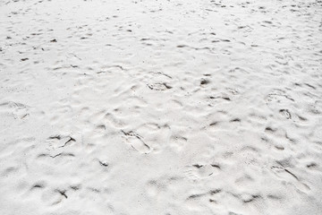 White sand beach texture background at daytime