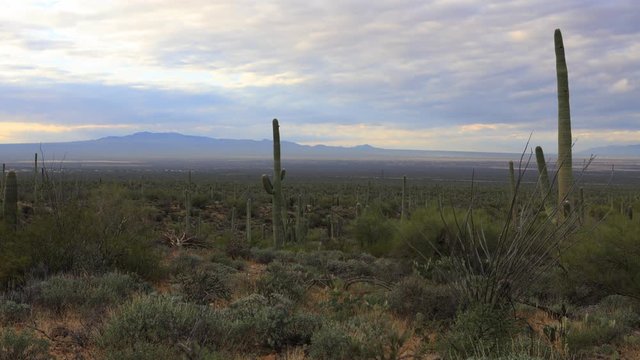 4K UltraHD A Timelapse of wide view in Tucson Mountain Park