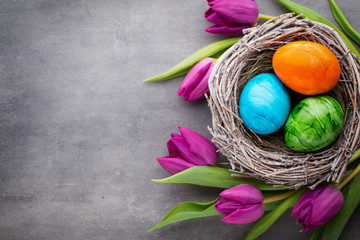 Spring greeting card. Easter eggs in the nest. Spring flowers tu