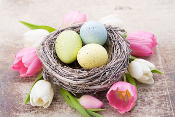 Easter eggs in the nest. Spring flowers tulips.