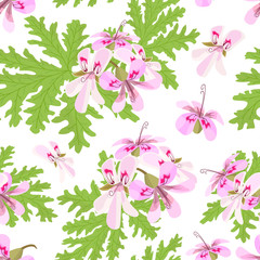 Rose Geranium theme. Seamless pattern vector collection of realistic fruits and slices.