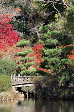 日本庭園