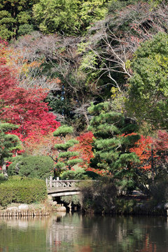日本庭園