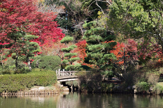 日本庭園