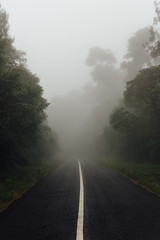 Foggy road