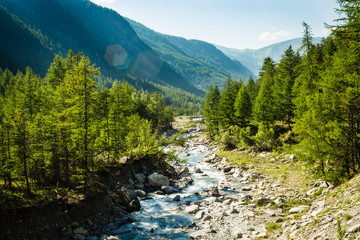 Fototapeta na wymiar Moutain landscape with creek