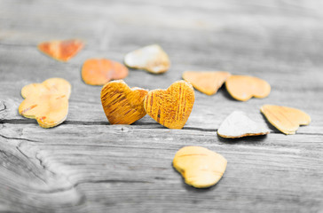 Two hearts from the bark