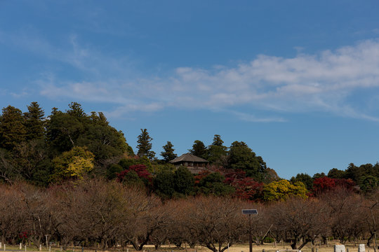 偕楽園