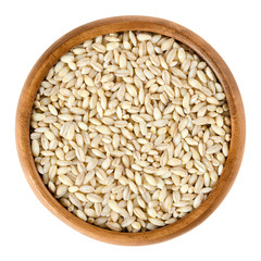 Processed pearl barley in wooden bowl. Uncooked pearled barley without hull and bran. Hordeum...