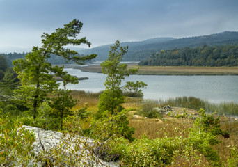 MARSH LAND LAKE HURON