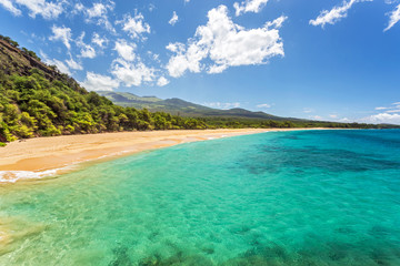 Fototapeta na wymiar tropical paradise found, deserted beach with turquoise sea 