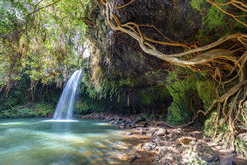 lush and green wilderness of twin falls, Maui, Hawaii. a great attraction on the road to hana where you can swim under the falls