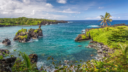 Tropical Paradise at waianapanapa state park on the island of Maui, Hawaii