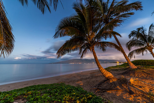 Morning Aloha. A peaceful sunrise with palm trees, calm sea and the west Maui mountains in the distance. From Sugar beach, Kihei, on the island of Maui, Hawaii