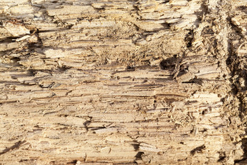 old split wood