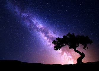 Milky Way and tree on the hill. Old tree growing out of the mountain against night starry sky with purple milky way. Night landscape. Space background. Galaxy. Travel.. Wilderness, wild nature