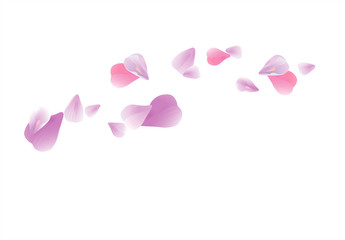 Pink Purple flying petals isolated on white. Sakura petals. Vector 