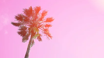 Photo sur Plexiglas Palmier Un palmier sur fond de ciel bleu. La vue de dessous, l& 39 éblouissement du soleil. Couleur Pop Art. Effets d& 39 éclat du soleil.