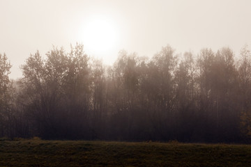 Fototapeta na wymiar Fog in autumn season