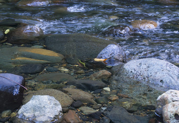 Creek