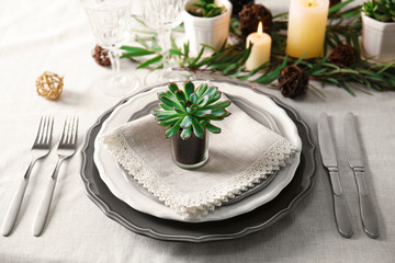 Table served with succulents for dinner in living room