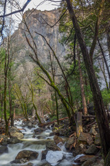 Yosemite Winter