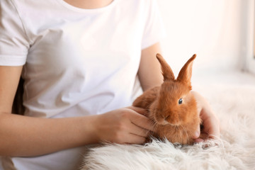 Naklejka premium Girl holding small rabbit, closeup