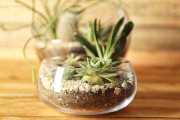 Glass pots with succulents on wooden background