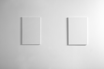 Empty canvases on white wall background