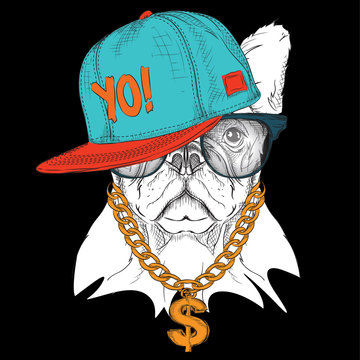 The poster with the image dog portrait in hip-hop hat. Vector illustration.