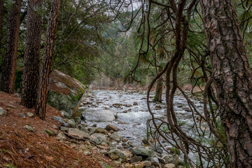 Yosemite Winter 