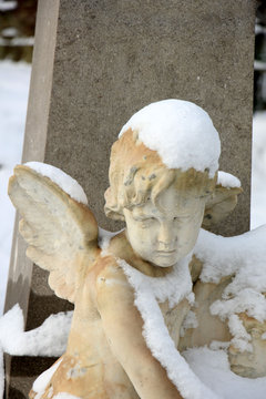 Guardian Angel in the snow