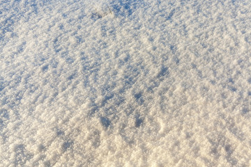 snow surface, winter
