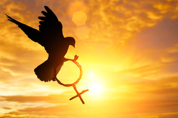 silhouette of dove holding branch in Venus symbol shape flying on sunset sky  for International Women's Day background