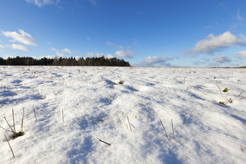 field covered with snow