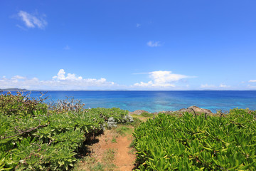 美しい沖縄のビーチと夏空