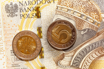 Polish Zloty, close-up