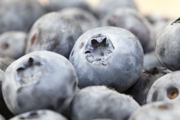 ripe blueberries, close-up