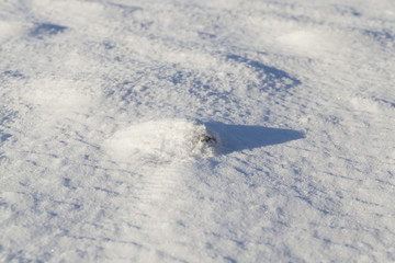 Fototapeta na wymiar snow covered surface