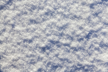 land covered with snow