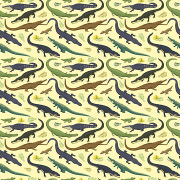 Vector seamless pattern with crocodile.