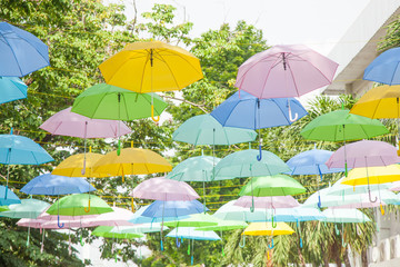 Umbrella variety of colors
