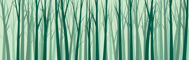 Naklejka premium Wide Forest Background - vector illustration