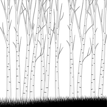 Simple Forest Background    - vector illustration