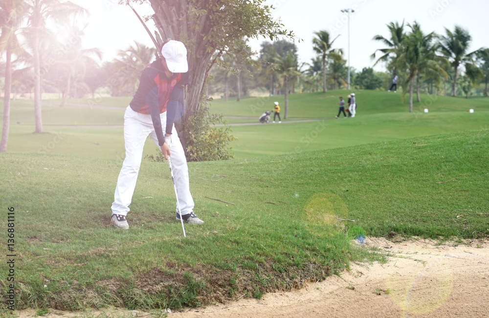 Wall mural Women's golf is a sport that requires endurance.