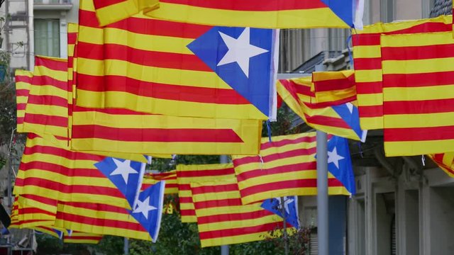 Freedom for Catalonia Independence Flagstaff.
Secessionist independence process politics in Catalonia.
Secessionist Catalonian flags of Spain unit.
Freedom independence for Catalonia.
