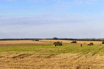 Fototapeta na wymiar agricultural field and blue sky