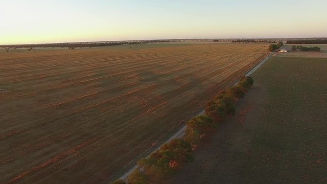 Smoth cinematic flight over yellow harvested fields and green pastures at sunset