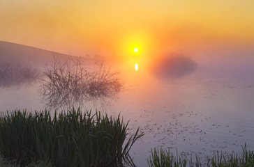 Fototapeta premium misty, fairytale sunrise over the lake