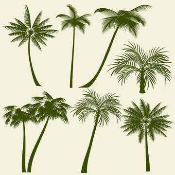 Summer holiday palm tree vector silhouettes